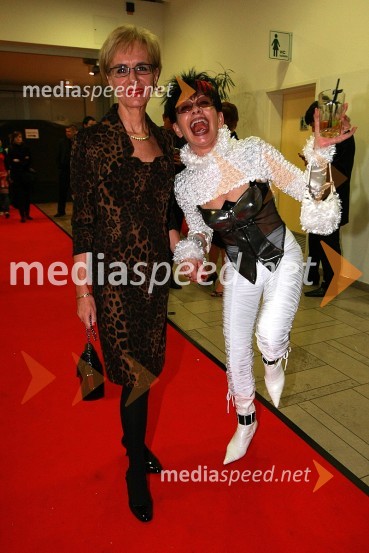 ObiskovalkiViktorji 2007, rdeča preproga, zakulisje, after party