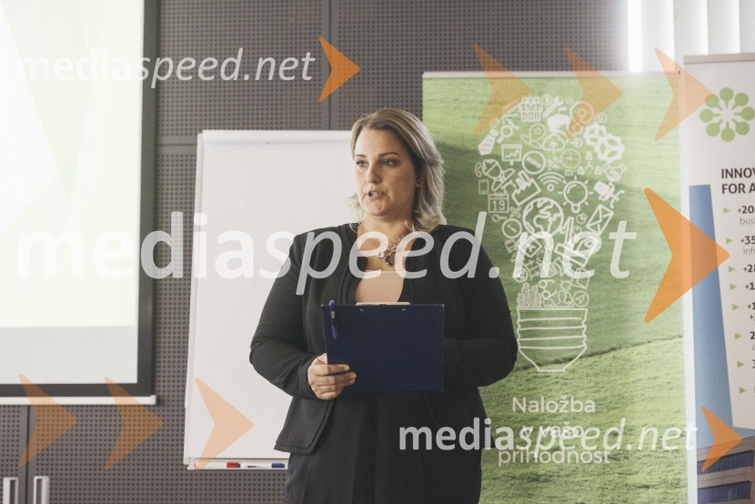 Delovna razmerja v podjetjih, predavanje