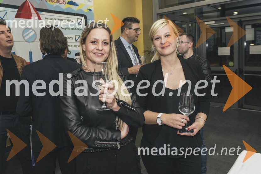  Tina Štrubelj, Inštitut Concordia;  Pija Zupančič, odvetniška kandidatkaDelovna razmerja v podjetjih, predavanje