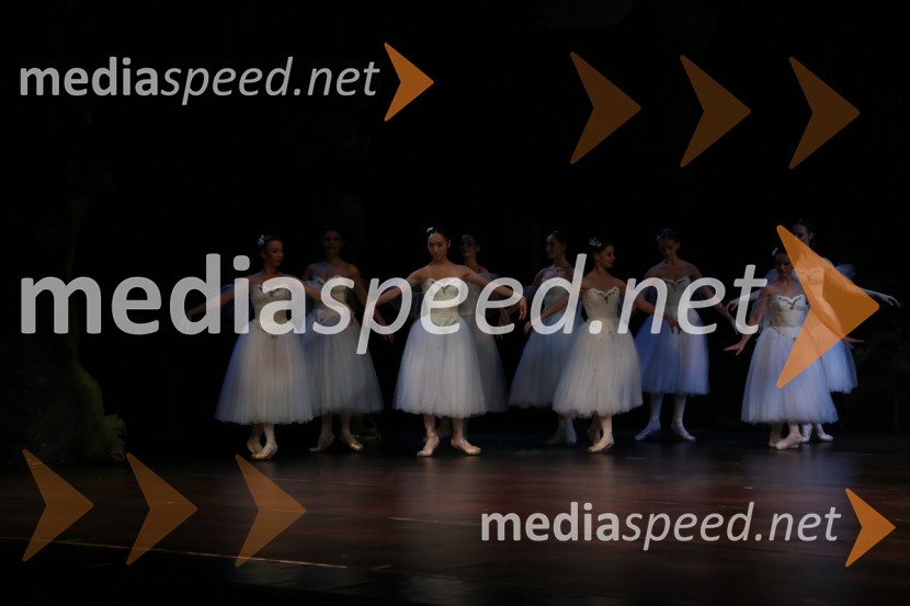 Silfida, premiera baletaSilfida, premiera baleta