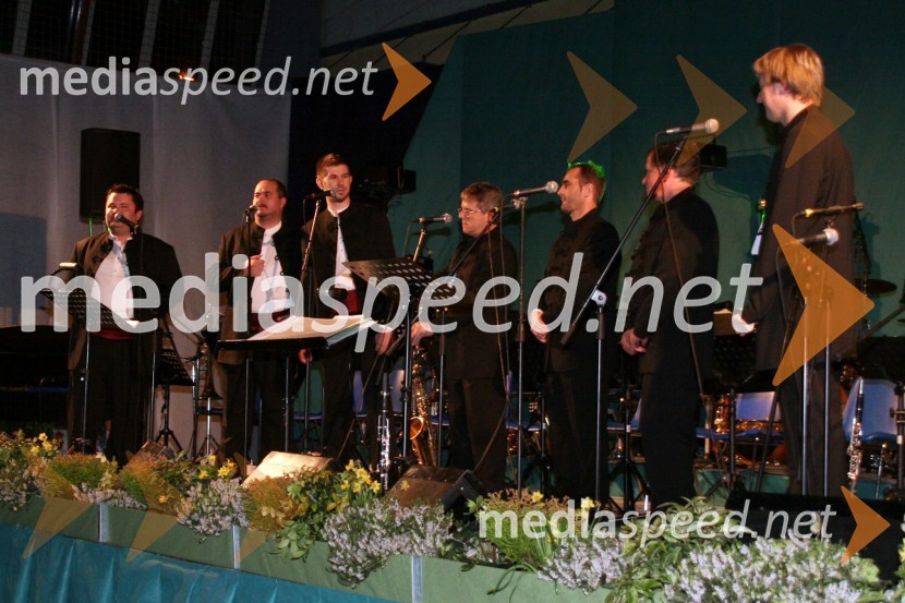 Klapa Mali gradŽupanov dobrodelni ples 2008