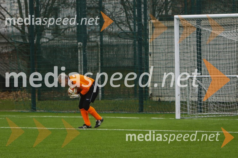 Vinska reprezentanca Slovenije proti reprezentanci Nemčije, prijateljska nogometna tekma