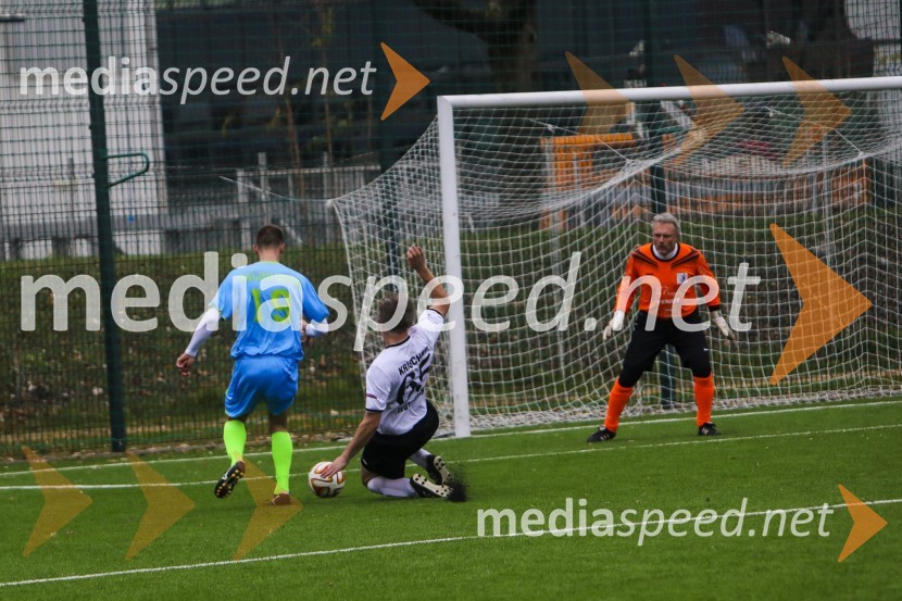 Vinska reprezentanca Slovenije proti reprezentanci Nemčije, prijateljska nogometna tekma