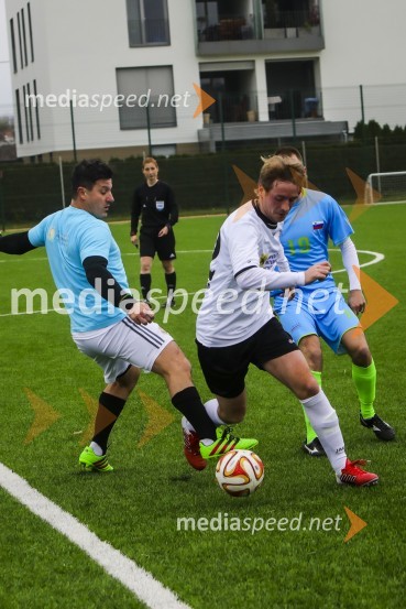 Vinska reprezentanca Slovenije proti reprezentanci Nemčije, prijateljska nogometna tekma