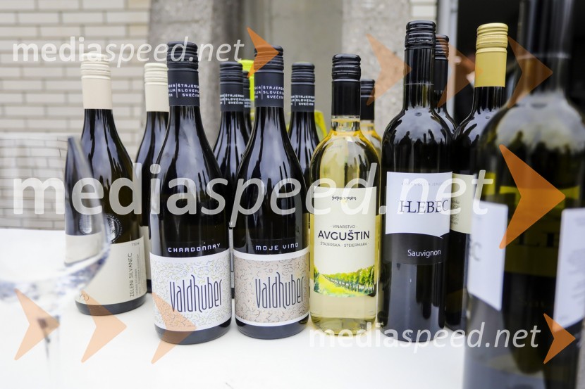 Vinska reprezentanca Slovenije proti reprezentanci Nemčije, prijateljska nogometna tekmaVinska reprezentanca Slovenije proti reprezentanci Nemčije, prijateljska nogometna tekma