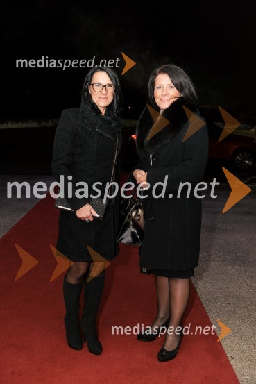  ... ;  Zdenka Kajdiž, AJPESS slavnostno akademijo obeležili praznik Mestne občine Kranj in zadnje leto županovanja Boštjana Trilarja