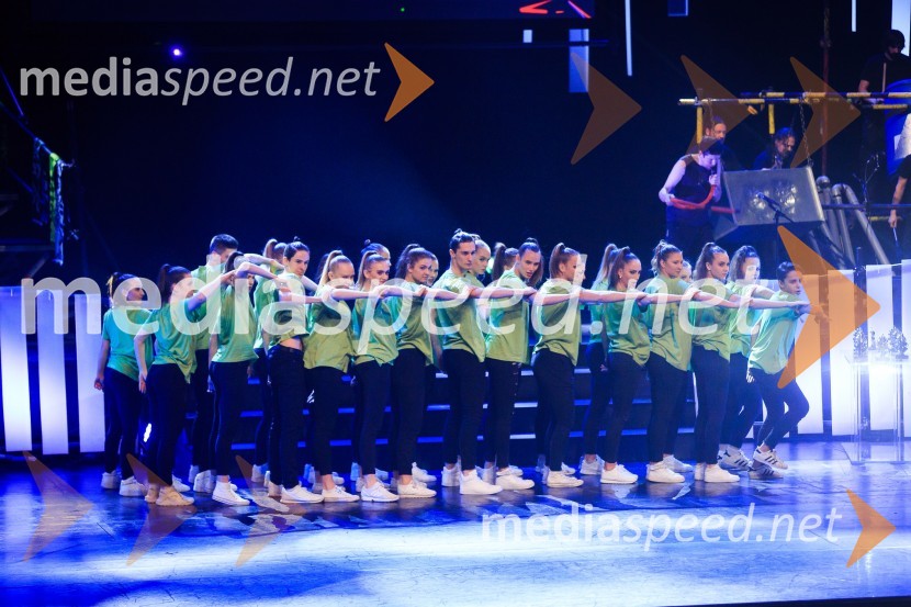 Športnik leta 2017Športnik leta 2017