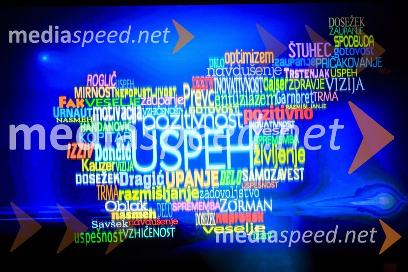 Športnik leta 2017Športnik leta 2017