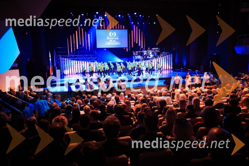 Športnik leta 2017Športnik leta 2017