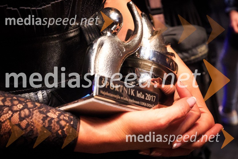 Športnik leta 2017Športnik leta 2017