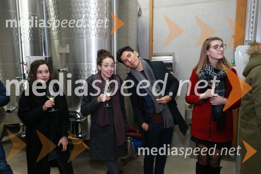  Andreja  Barbarič;  Andreja Breznik, Mediaspeed;  Max Verderber, fotograf;  Petra  Letonja, Mediaspeed d.o.o.16. rojstni dan agencije Mediaspeed in prednovoletno druženje