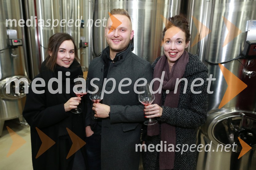  Andreja  Barbarič;  Anže Krže, fotograf;  Andreja Breznik, Mediaspeed16. rojstni dan agencije Mediaspeed in prednovoletno druženje