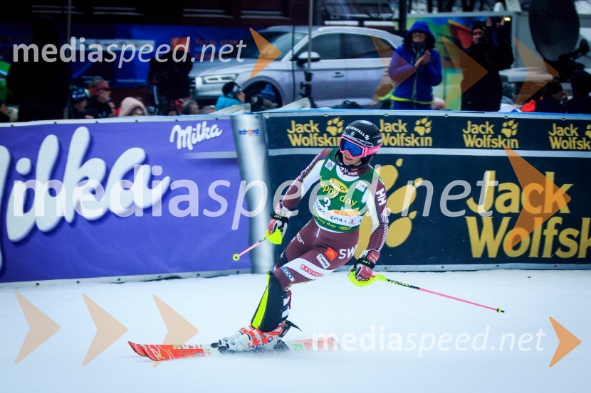  Frida Hansdotter, smučarka (Švedska)54. Zlata lisica, slalom