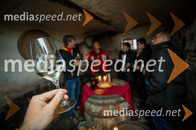 Vinarstvo HafnerObisk nagrajencev Slovenskih novic pri PUBEC vinarjih Leber, Hafner in Cvitanič