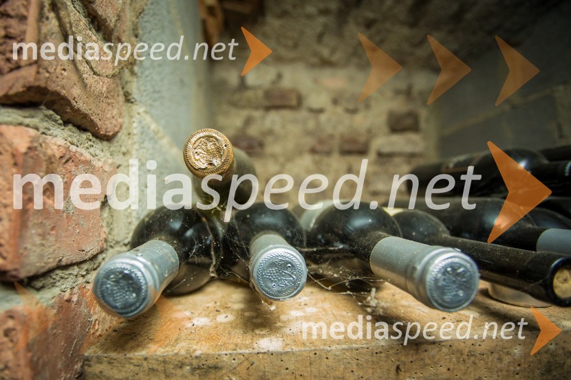 Vinarstvo HafnerObisk nagrajencev Slovenskih novic pri PUBEC vinarjih Leber, Hafner in Cvitanič