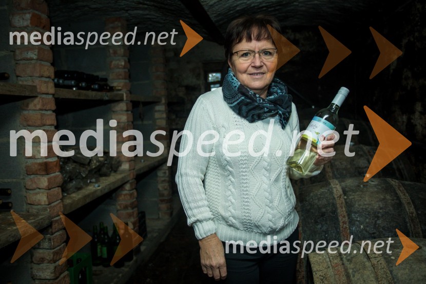  Sonja ErlačObisk nagrajencev Slovenskih novic pri PUBEC vinarjih Leber, Hafner in Cvitanič