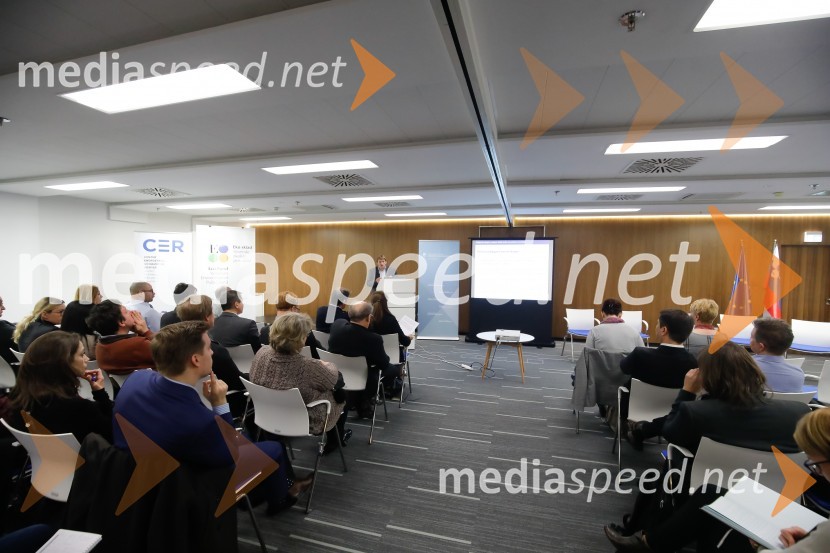 Ukrepi in spodbude za prehod na e-mobilnost, strokovni posvetUkrepi in spodbude za prehod na e-mobilnost, strokovni posvet