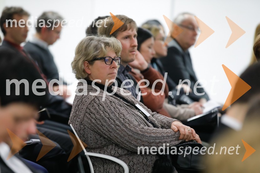 Ukrepi in spodbude za prehod na e-mobilnost, strokovni posvet