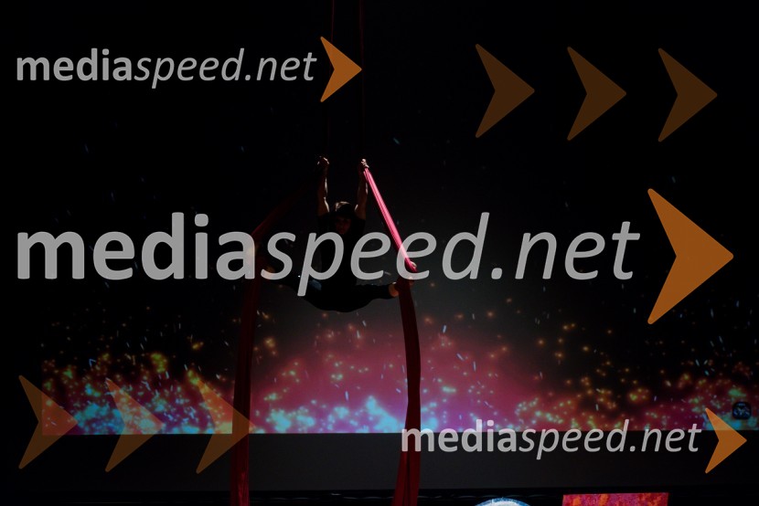 500 podjetnic500 podjetnic