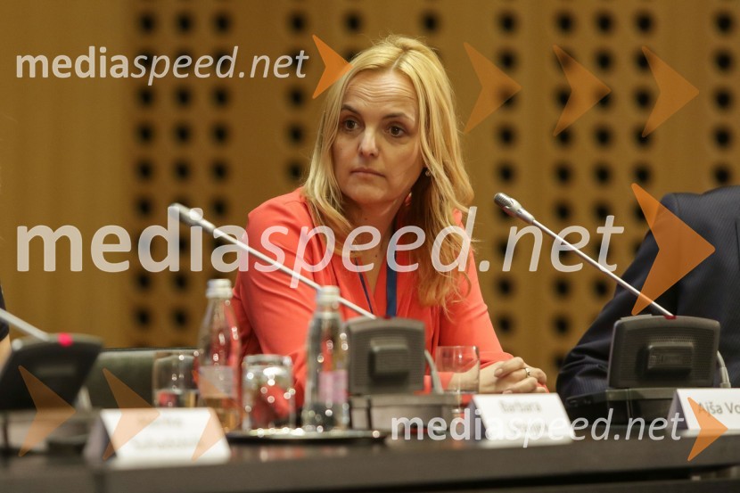  Ajša Vodnik, izvršna direktorica AmCham (Ameriška gospodarska zbornica)1. Nacionalna konferenca o internacionalizaciji slovenskega gospodarstva