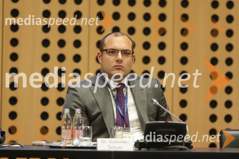  Slobodan  Šešum, Ministrstvo za zunanje zadeve1. Nacionalna konferenca o internacionalizaciji slovenskega gospodarstva