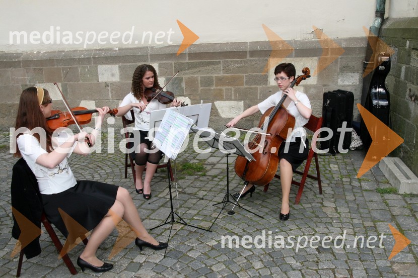 ViolinistkePoroka Damjan Murko in Maja Žilavec