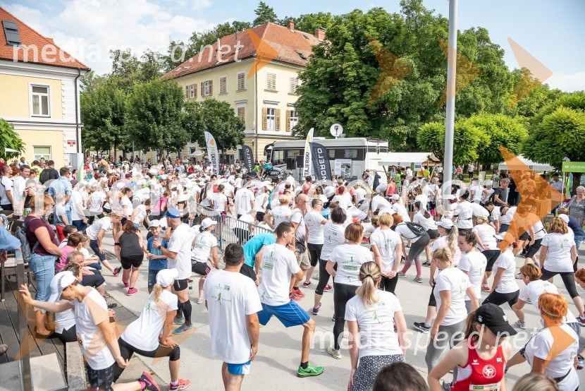 Drugi Afroditin tekDrugi Afroditin tek