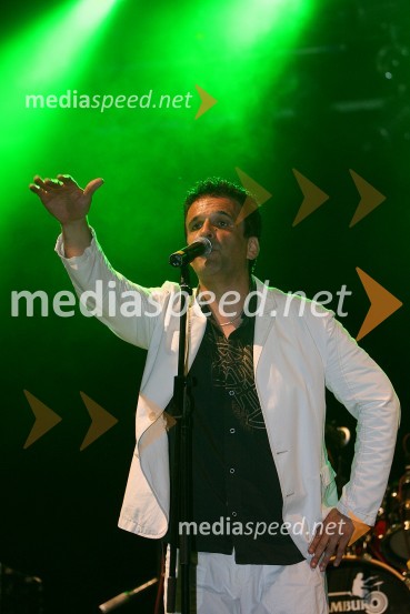 Reno Čibej, skupina KingstonLampiončki 2008