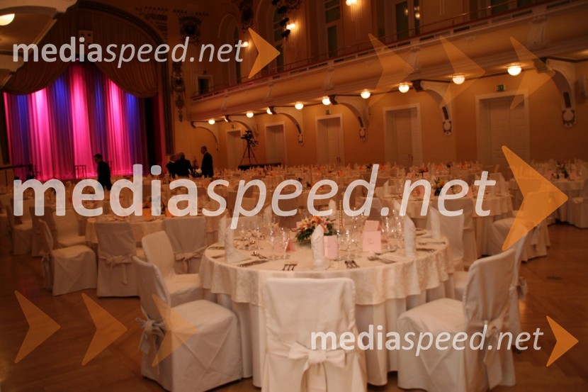 Unionska dvoranaAdam in Eva, izbor za najbolj simpatično Slovenko ali Slovenca 2008