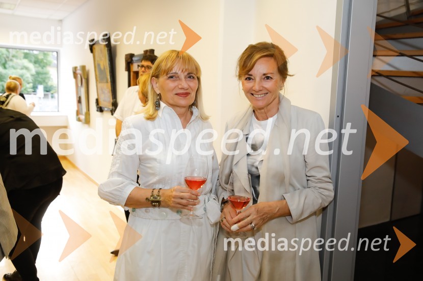 Irwin: Iz kolekcije Matjaža Gantarja in Adriatica Slovenice, otvoritev razstave v Galeriji AS