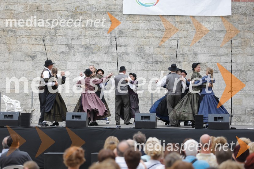 Dobrodošli doma 2018Dobrodošli doma 2018