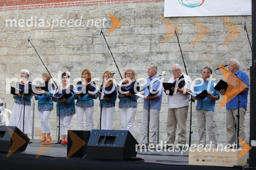 Dobrodošli doma 2018Dobrodošli doma 2018