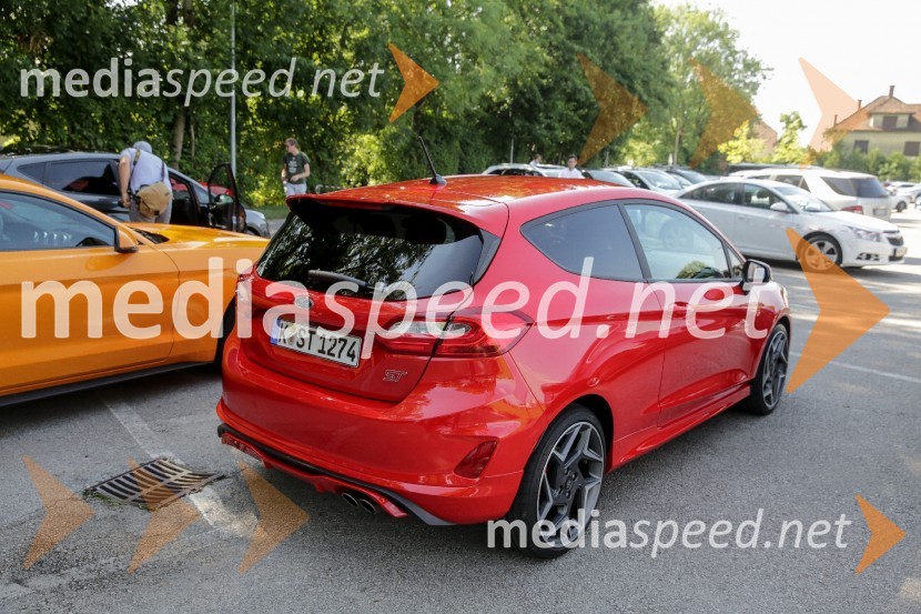 Ford FiestaPredstavitev najdrznejših Fordovih vozil