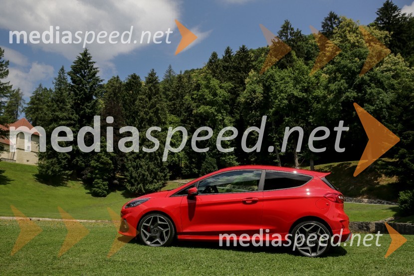 Ford FiestaPredstavitev najdrznejših Fordovih vozil