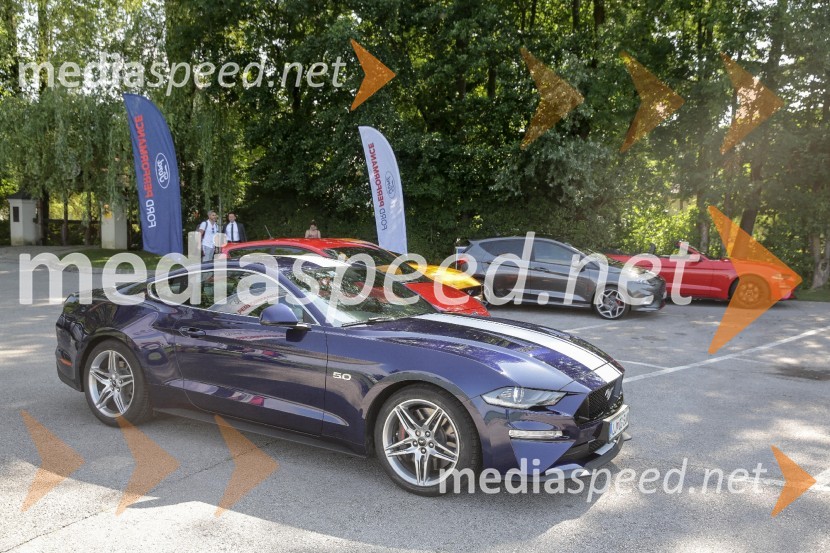 Ford MustangPredstavitev najdrznejših Fordovih vozil
