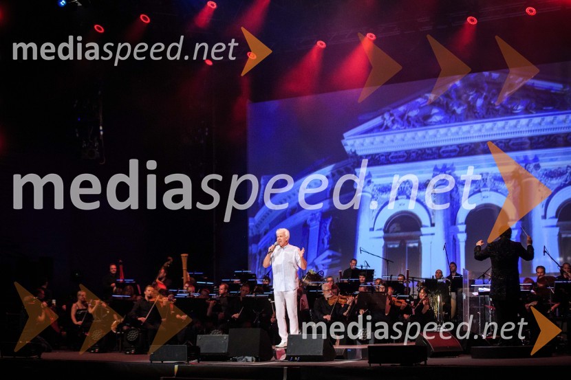  Andrej Šifrer, glasbenikGala koncert Poletna noč 2018
