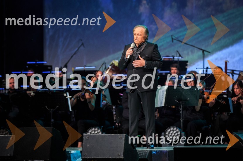  Alfi Nipič, pevecGala koncert Poletna noč 2018