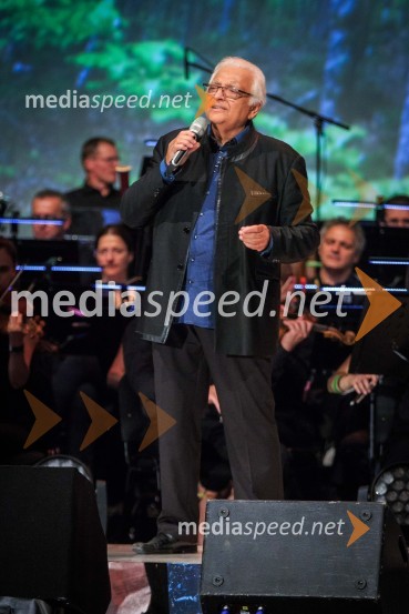  Oto Pestner, pevecGala koncert Poletna noč 2018