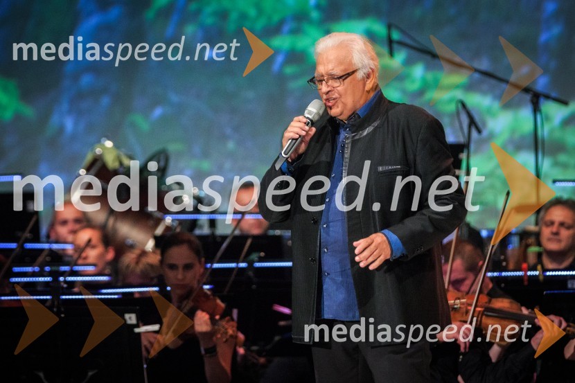  Oto Pestner, pevecGala koncert Poletna noč 2018