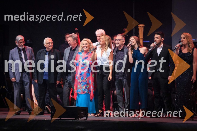  Dare Hering, glasbenik;  Oto Pestner, pevec;  Marjan Petan, glasbenik;  Elda Viler, pevka;  Andrej Šifrer, glasbenik;  Anika Horvat, pevka;  Tomaž Kozlevčar, glasbenik;  Saša Lešnjek, pevka, igralka;  Alex Volasko, pevec;  Eva  Hren, pevkaGala koncert Poletna noč 2018