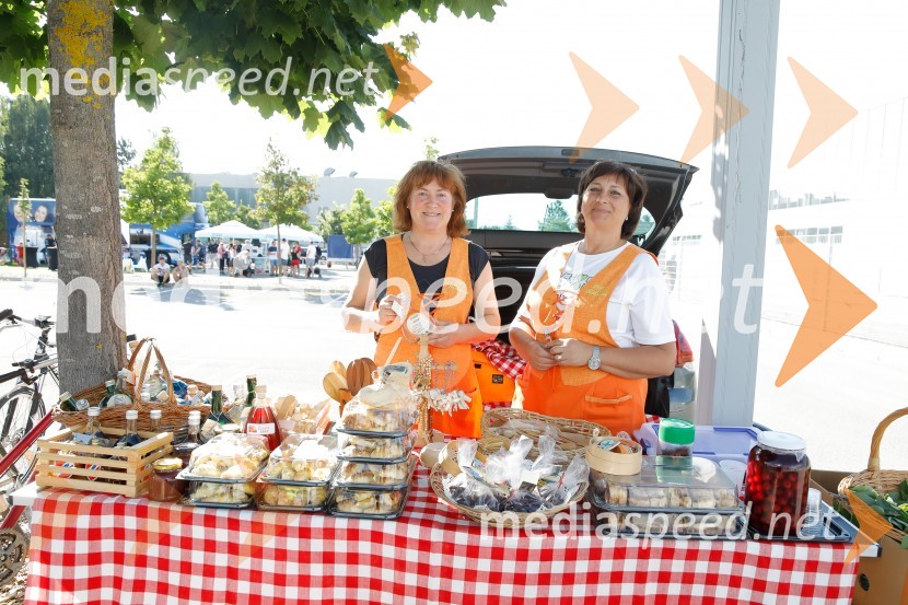 Od vzhoda do vzhoda, pohod v Ribnici na Dolenjskem