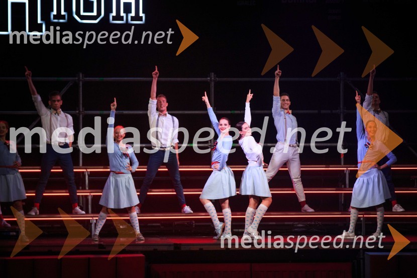 Slovenski muzikal BriljantinaMuzikal Briljantina, premiera