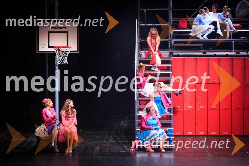 Slovenski muzikal BriljantinaMuzikal Briljantina, premiera