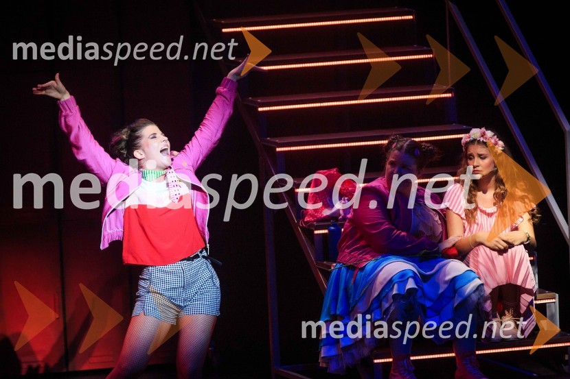  Mariša Jagodič, glasbenica, umetnicaMuzikal Briljantina, premiera