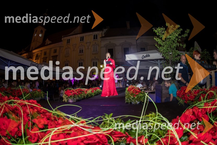 Modna revija Summer VibesModna revija Summer Vibes