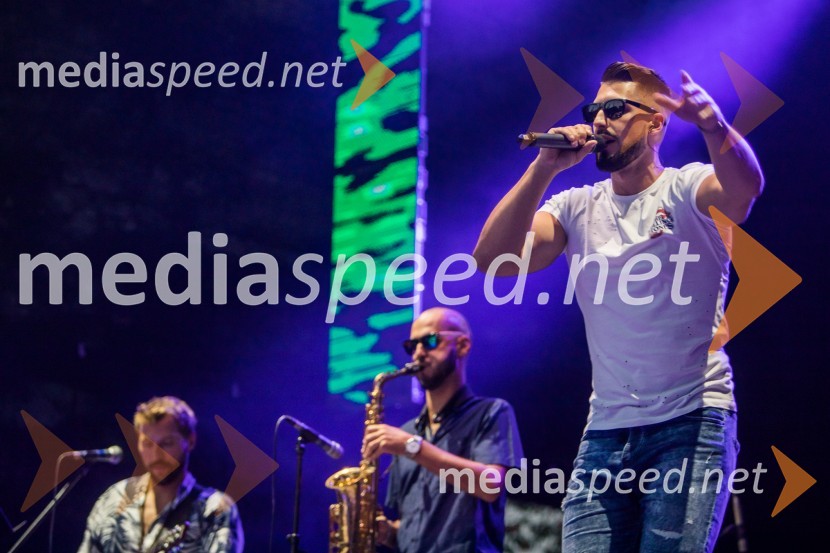  Challe Salle, glasbenikEuroparkov koncert leta: Challe Salle in Perpetuum Jazzile