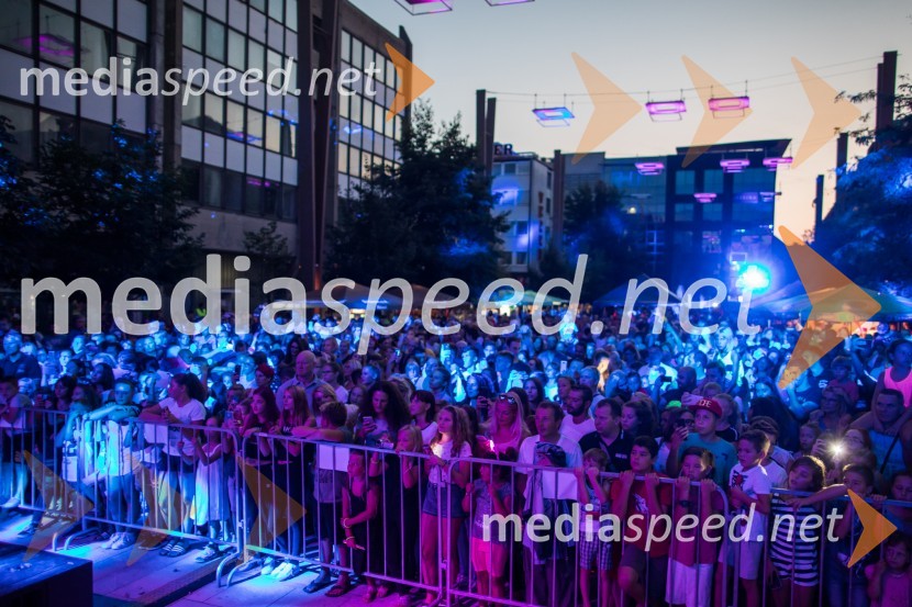 Europarkov koncert leta za 18. rojstni danEuroparkov koncert leta: Challe Salle in Perpetuum Jazzile