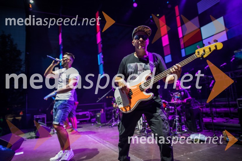  Challe Salle, glasbenik;  ... Europarkov koncert leta: Challe Salle in Perpetuum Jazzile