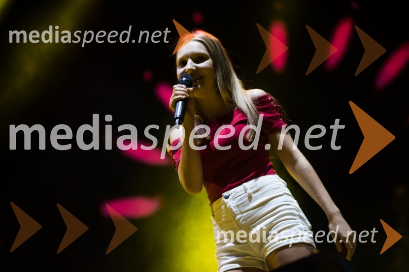  Ana  Resnik, pevkaEuroparkov koncert leta: Challe Salle in Perpetuum Jazzile