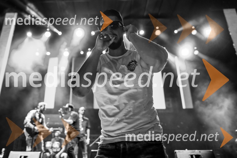  Challe Salle, glasbenikEuroparkov koncert leta: Challe Salle in Perpetuum Jazzile